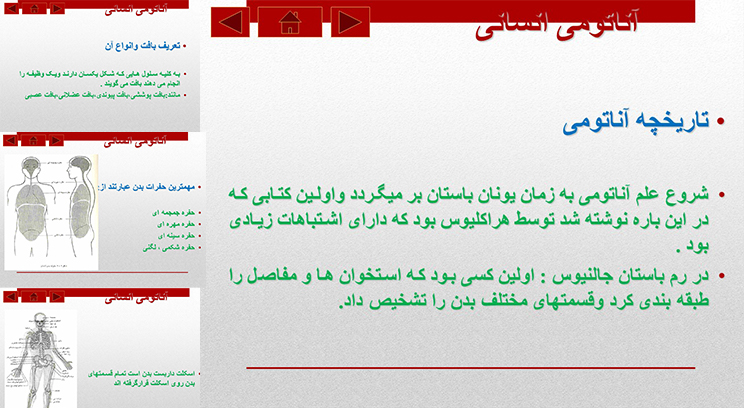 آناتومی بدن انسان - ارائه مطلب